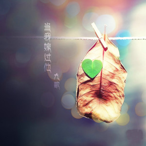 Album 当我嫁过他 from 九歌
