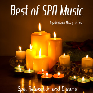 Best of Spa Music: Yoga, Meditation, Massage and Spa dari Various Artists