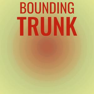 Various Artists的專輯Bounding Trunk