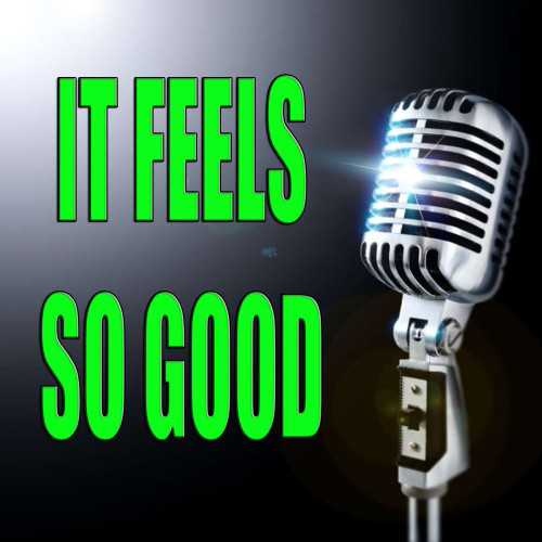 (It) Feels so Good (In the Style of Steven Styler)
