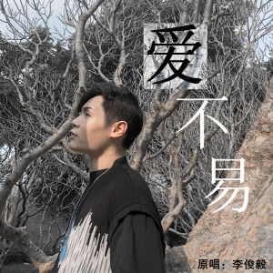 Listen to 爱不易 (完整版) song with lyrics from 天庥