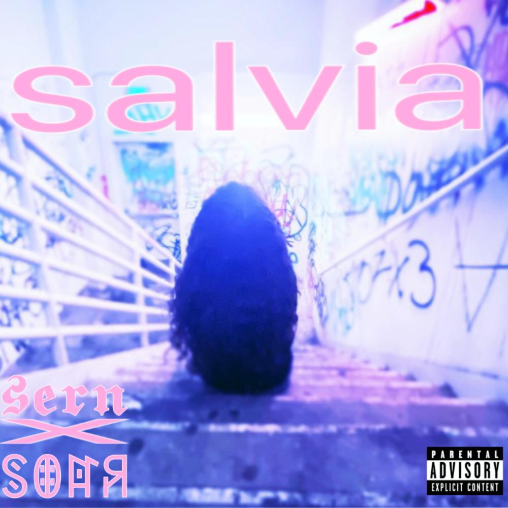 salvia (feat. Soar) (Explicit)