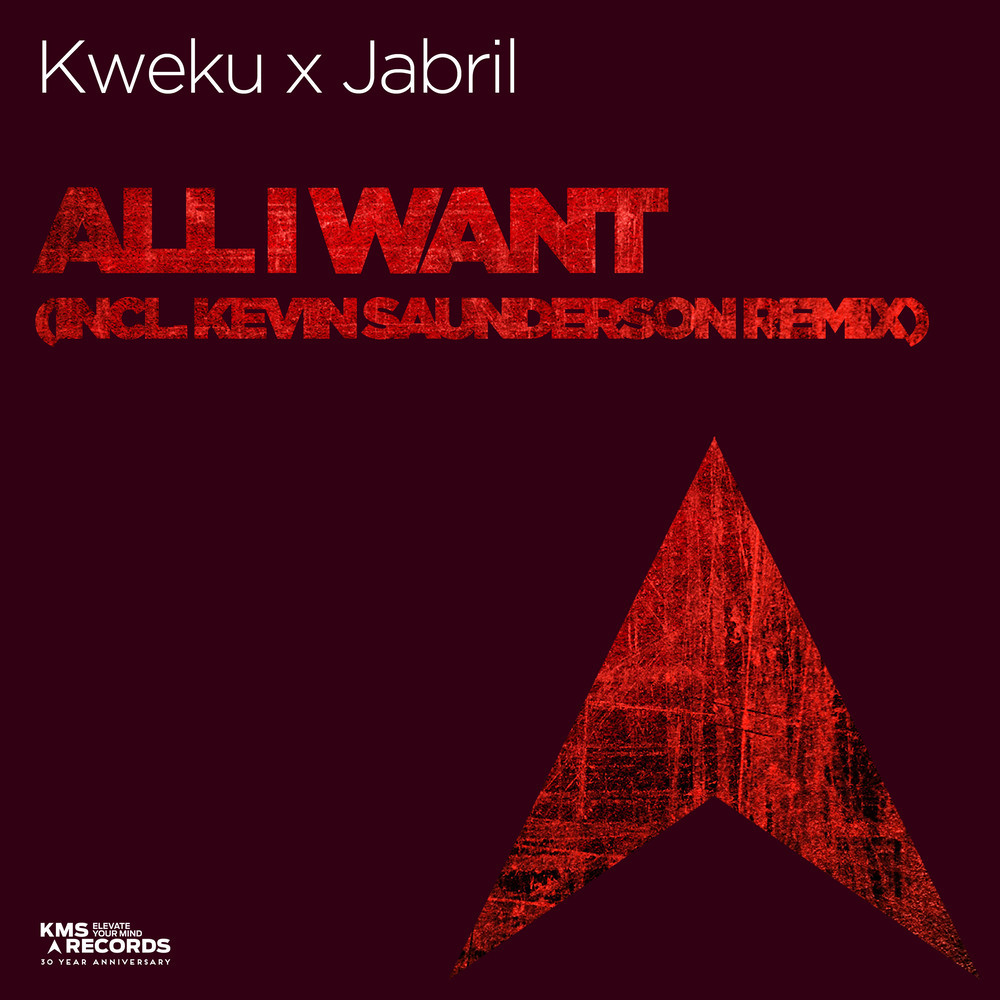 All I Want (Kevin Saunderson Remix)