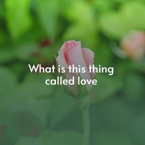 收聽The M & R Masters的Country歌詞歌曲