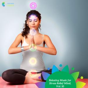 Various Artists的專輯Relaxing Music for Stress Relief Mind, Vol. 10