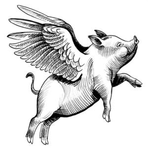 อัลบัม When Pigs Fly ศิลปิน Unknown Artist