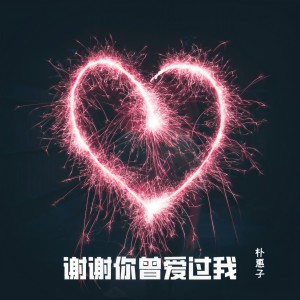 收聽樸惠子的謝謝你曾愛過我 (DJheap九天版)歌詞歌曲