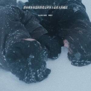 Album 邓布利多你说的对爱是世界上最伟大的魔法 from 队长的小斑鸠
