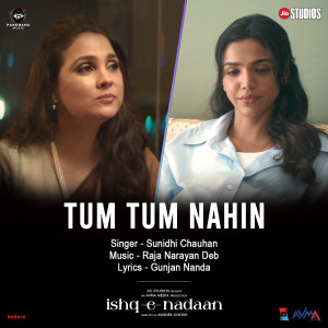 Album Tum Tum Nahin (From " Ishq-E-Nadaan") from Sunidhi Chauhan