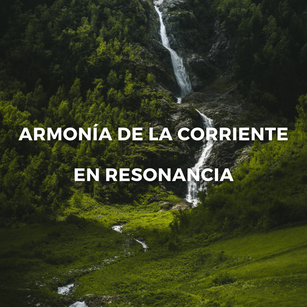 Comprensión Autosuficiente