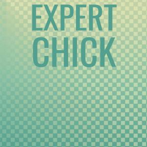 Album Expert Chick from Various