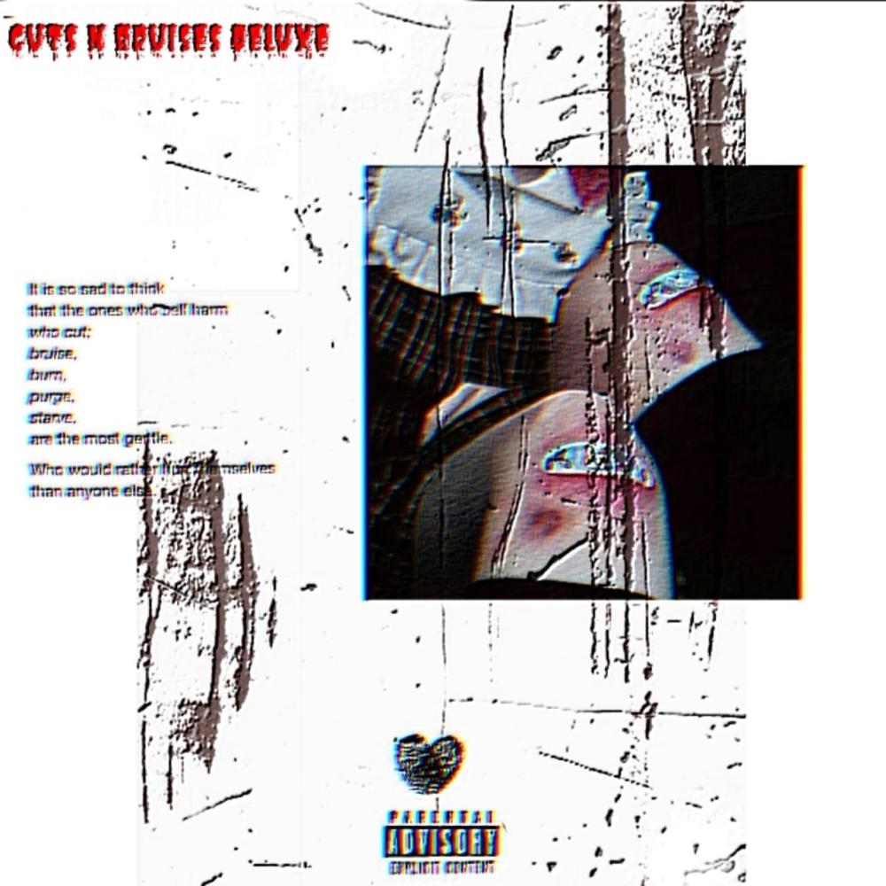 Trouble (feat. Aproxy) (Remix|Explicit)
