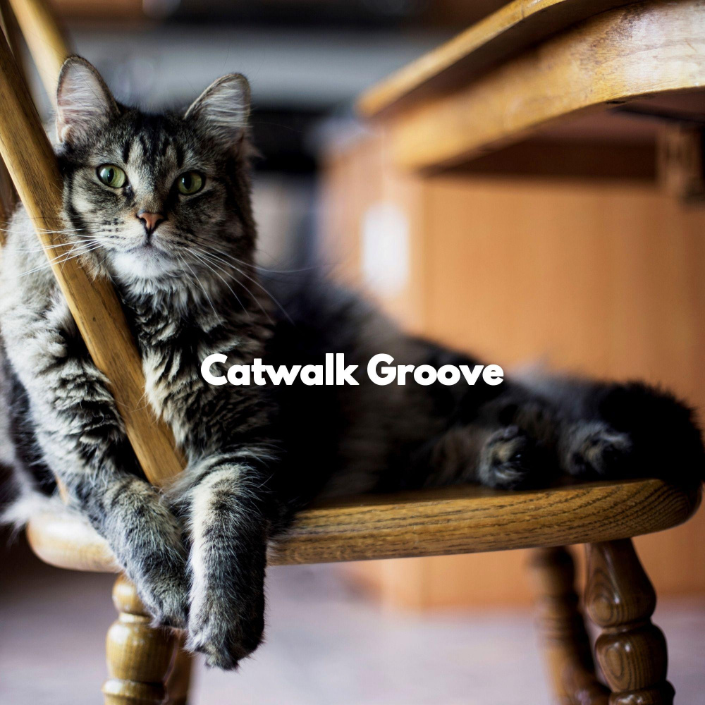 Astounding Ambiance for Happy Cat