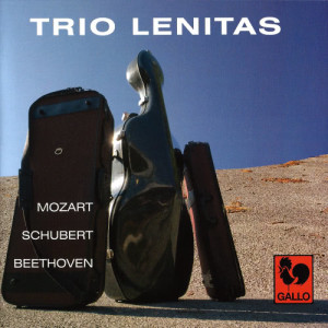 ดาวน์โหลดและฟังเพลง Divertimento in B-Flat Major, K. Anh. 229, No. 1: II. Menuetto Allegretto - Trio - Menuetto - Allegretto พร้อมเนื้อเพลงจาก Trio Lenitas