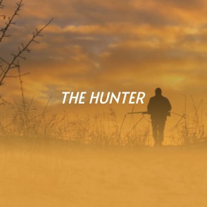 收聽Tina Turner的The Hunter歌詞歌曲