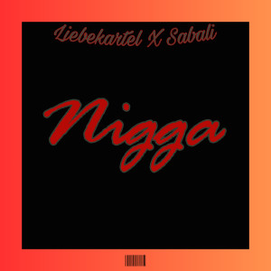 Liebe Kartel的專輯Nigga