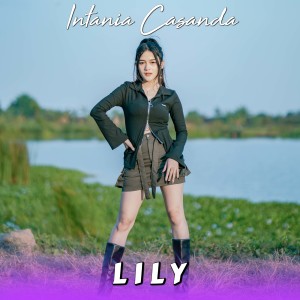 Album Lily oleh Intania Casanda