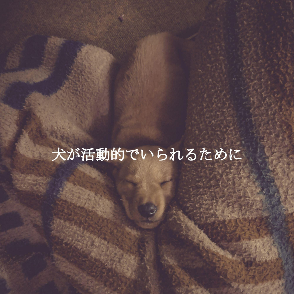 Caring (Busy Work)