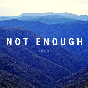 Chaim的专辑Not Enough