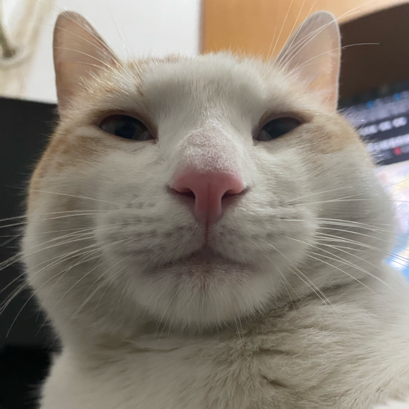 啁啾