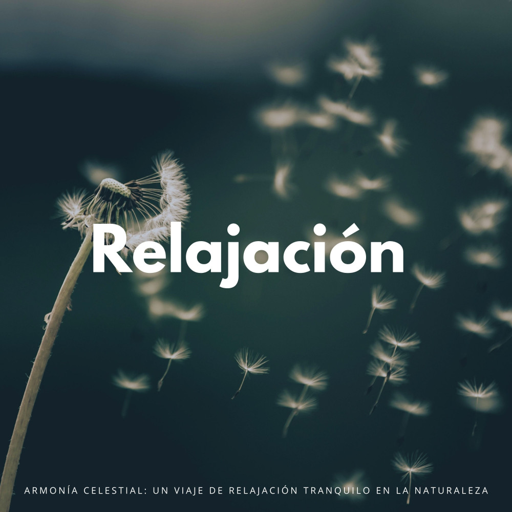Meditaciones De Elevación Celestial