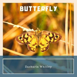 Listen to Butterfly song with lyrics from Zacharia Whitley