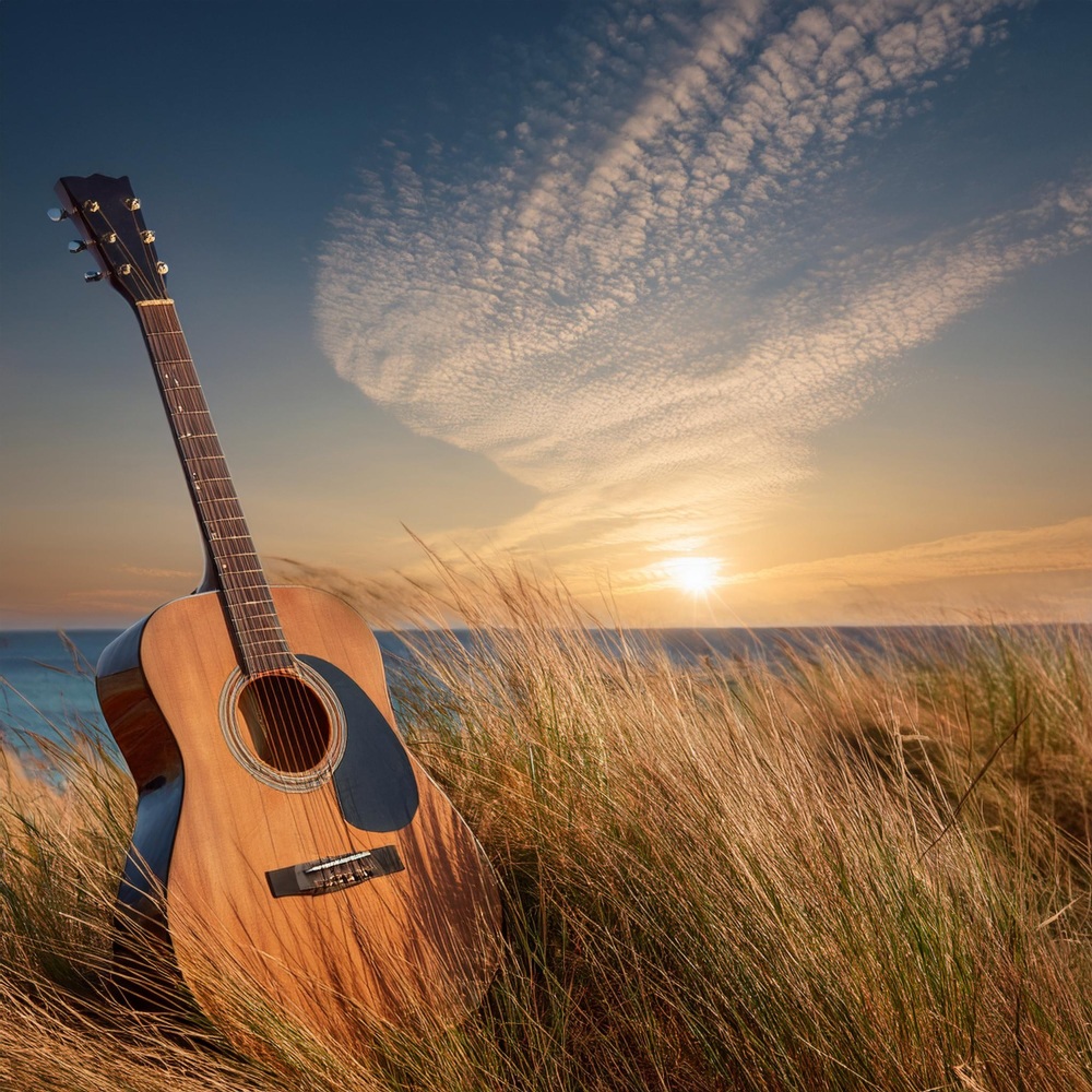 Pine Scented Guitar Melodies