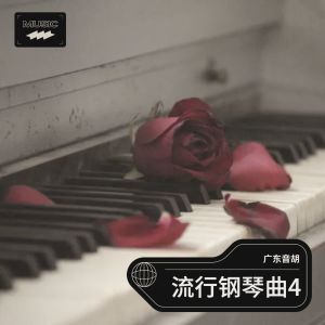 廣東音胡的專輯鋼琴曲純音樂版