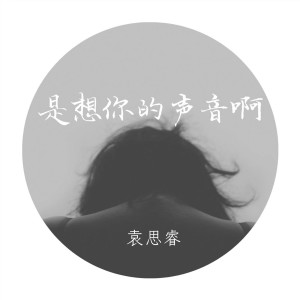 Listen to 是想你的声音啊 (抖音女生版) song with lyrics from 袁思睿