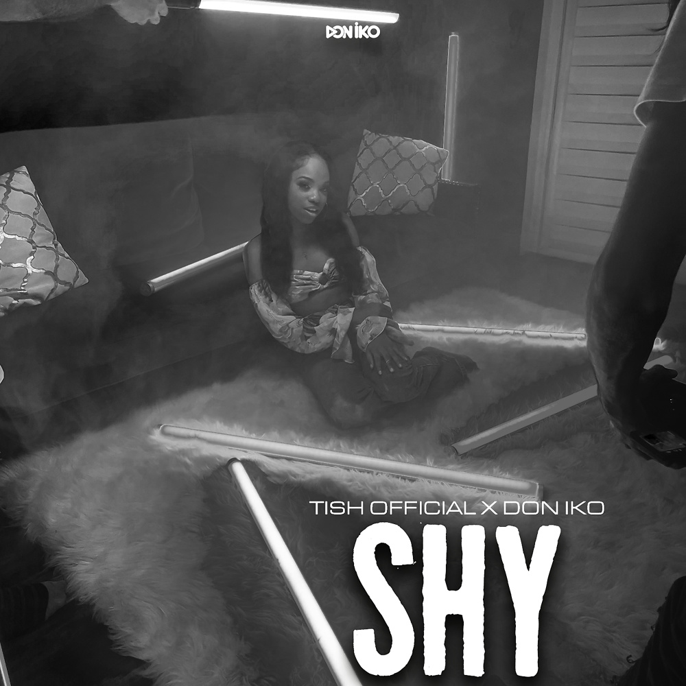 Shy (Instrumental)