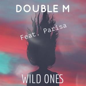 Album Wild Ones (feat. Parisa) from 