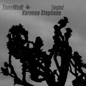 收聽TonyModi的Tangled (2017 Remaster)歌詞歌曲