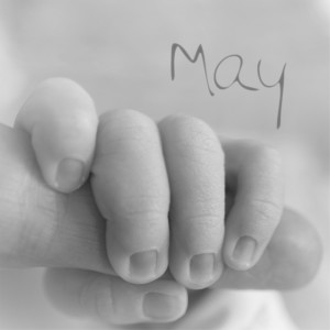 收聽Goggle的May歌詞歌曲