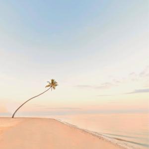 Album Paraiso from Unatee X