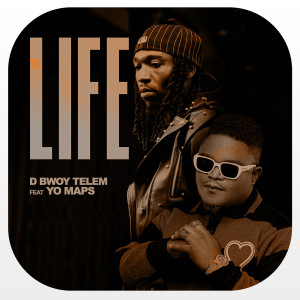 D Bwoy Telem的专辑Life