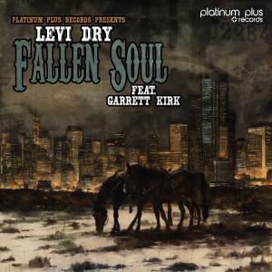 Album Fallen Soul (feat. Garrett Kirk) from Levi Dry