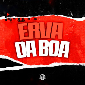 Album Erva Da Boa (Explicit) from DJ GHR
