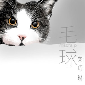 收聽葉巧琳的毛球 (360 Reality Audio)歌詞歌曲