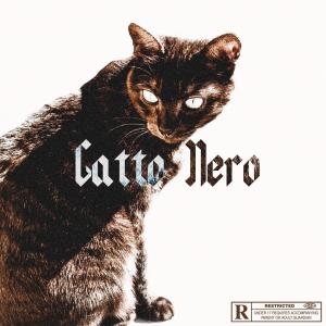 WopDoc的专辑Gatto Nero (Explicit)