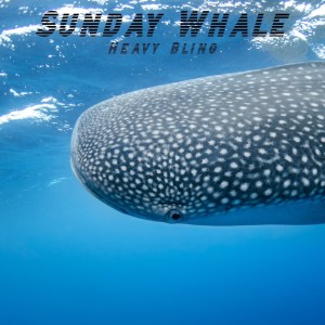 Listen to Love Me song with lyrics from Sunday Whale