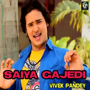 收听Vivek Pandey的Saiya Gajedi歌词歌曲