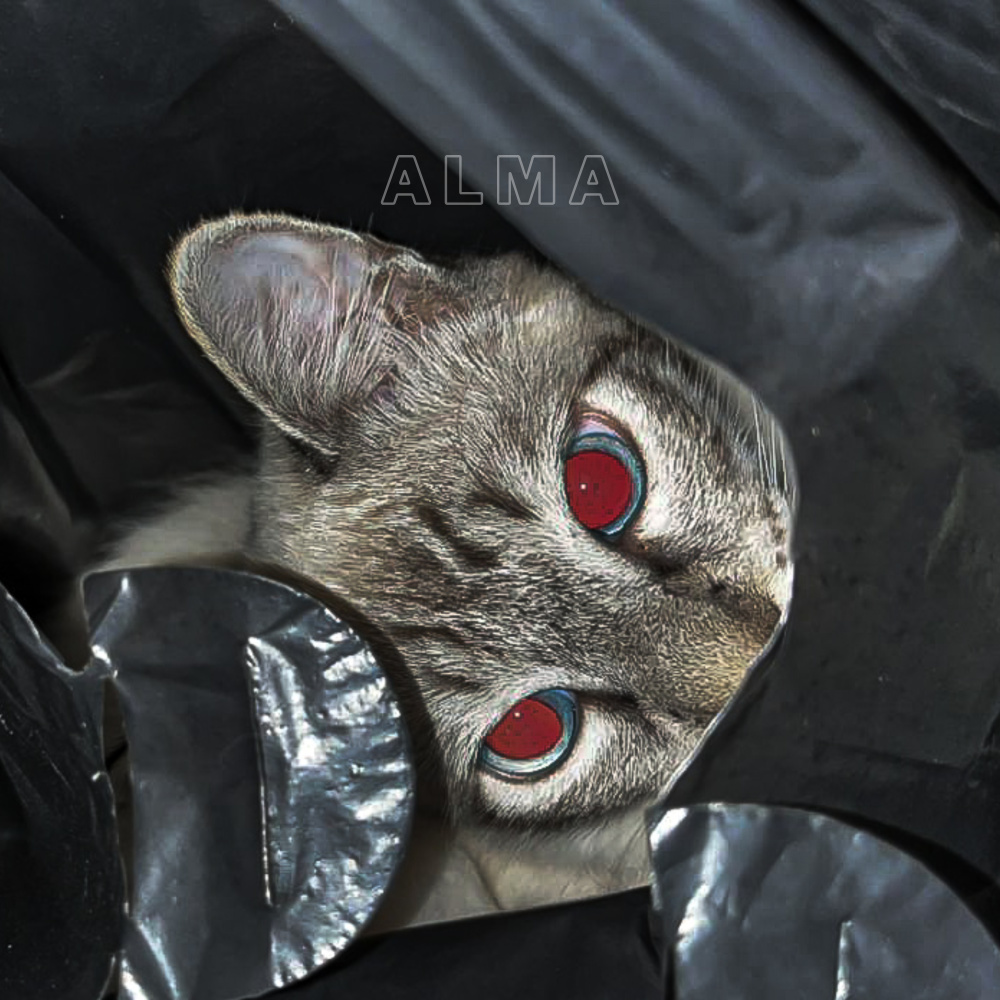 ALMA (Explicit)