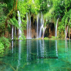 Listen to Yoga song with lyrics from Yoga