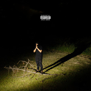 Listen to Solemn Thoughts song with lyrics from Cykik