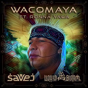 Liquid Bloom的專輯Wacomaya
