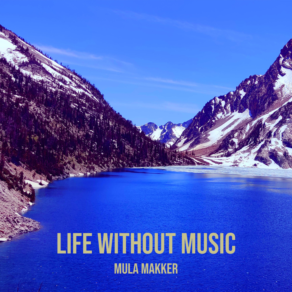 Life Without Music (Explicit)