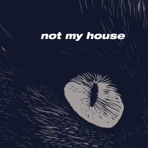 Joshua Idehen的專輯Not My House (Explicit)