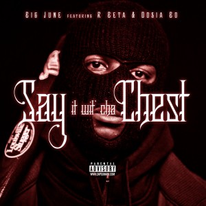 Say It wit Cha Chest (feat. R Beta & Dosia Bo) - Single (Explicit)