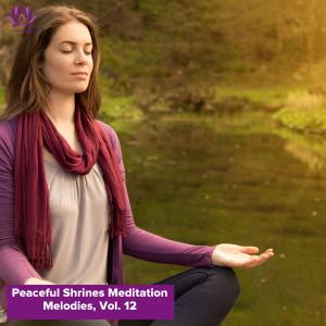收聽Abhayasa Yoganandam的Relax to Feel Motivated Again歌詞歌曲