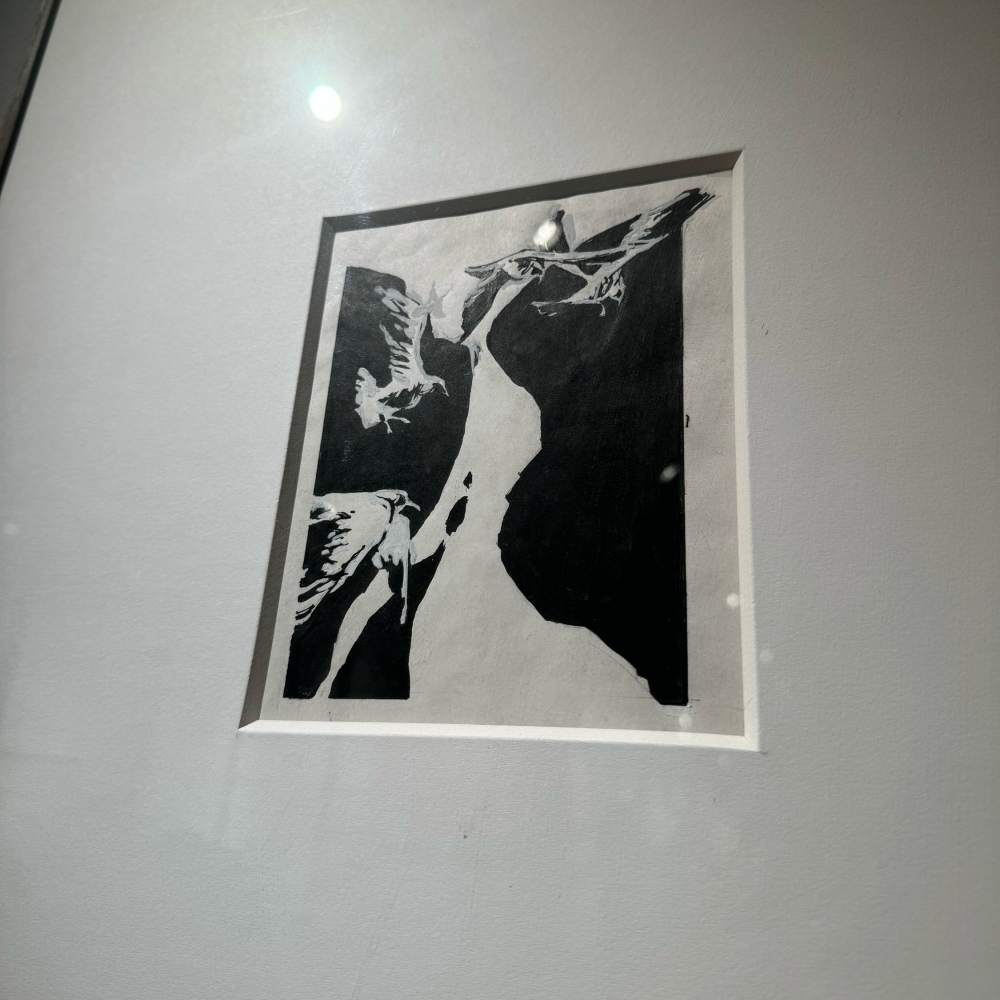 轼郡琳